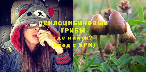 а пвп мука Вяземский