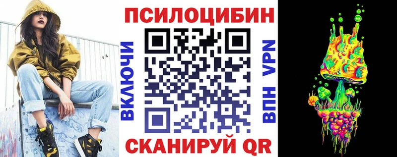 наркота  Казань  Галлюциногенные грибы Psilocybe 